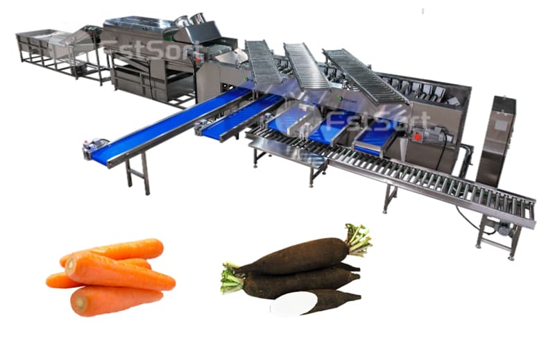 images/1700206954523carrot processing line.jpg